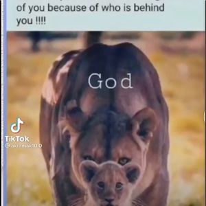 Meet your Posher, Andre